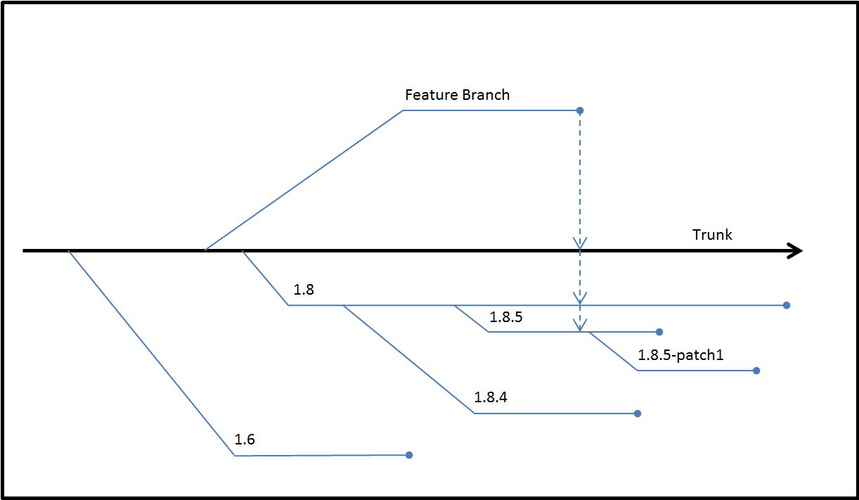 The trunk, release branches, and feature branches